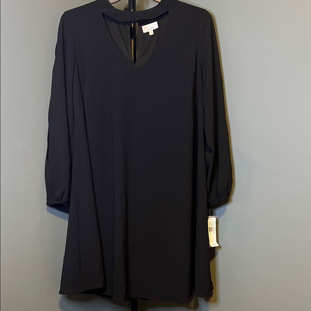 Signature by Robbie Bee Black Long Sleeve Dress